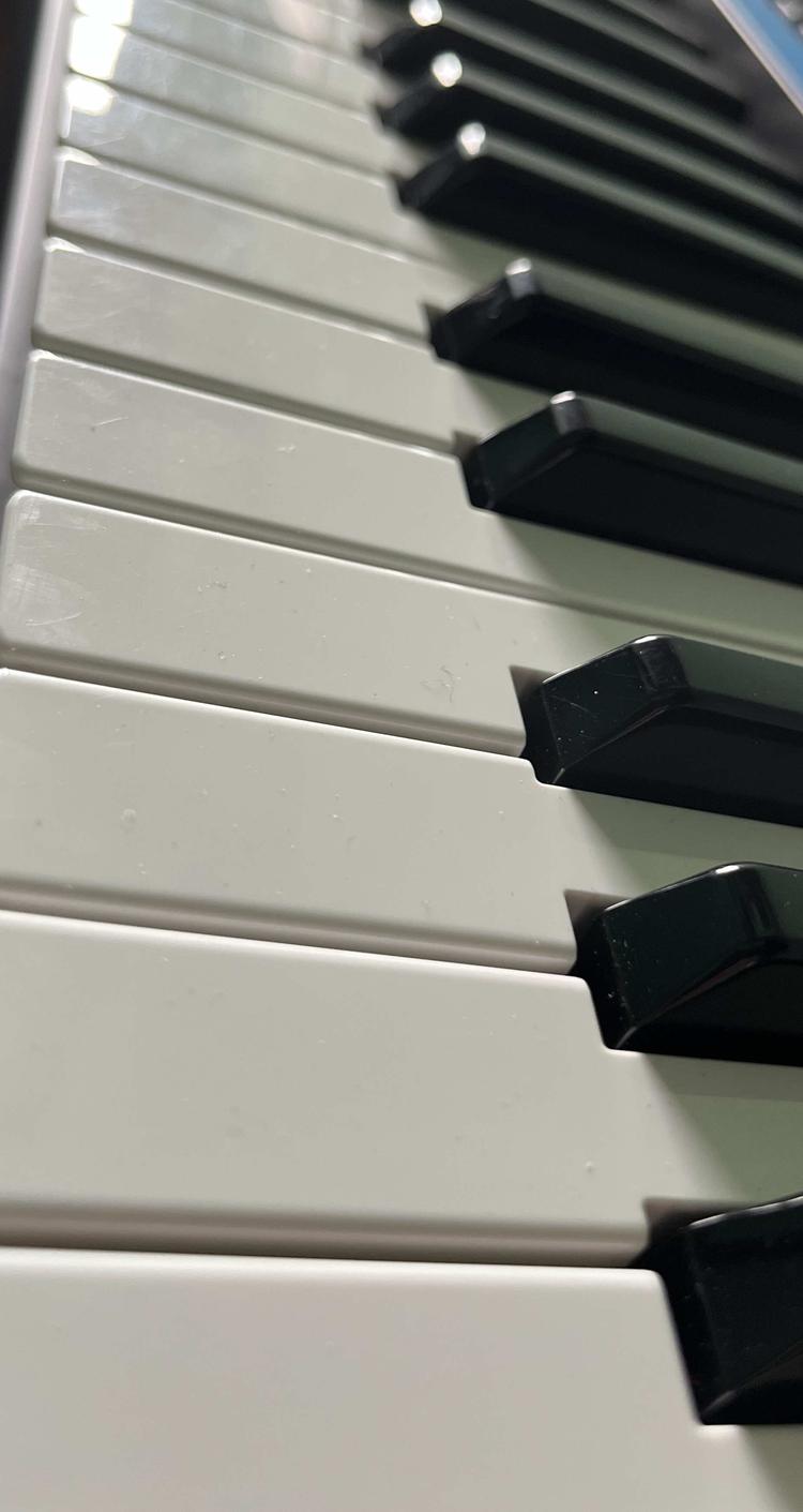 巴里坤县城镇吾尔肯乐器商行的小店个体店