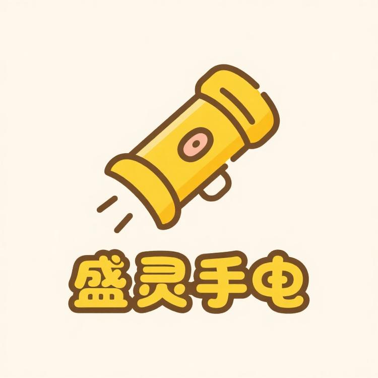 盛灵手电