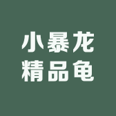 小暴龙精品龟宠