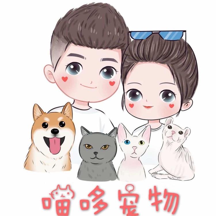 张家港市金港镇喵哆宠物美容生活馆的小店