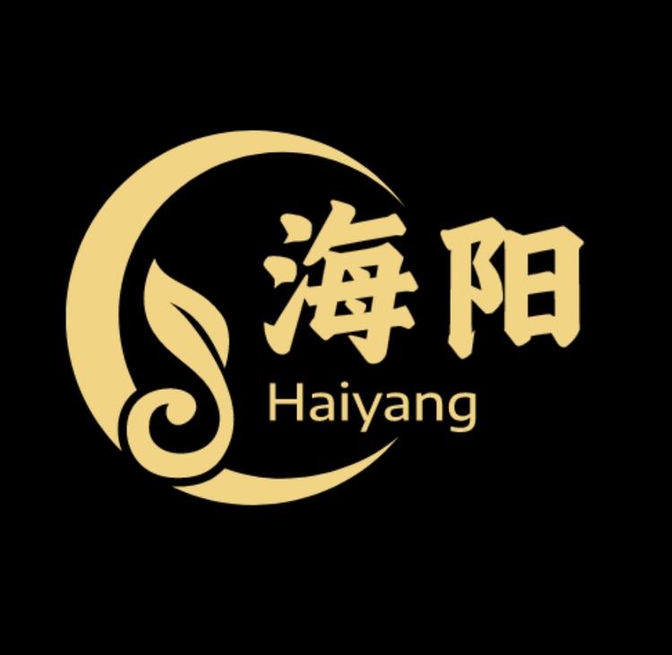 海阳的百宝箱
