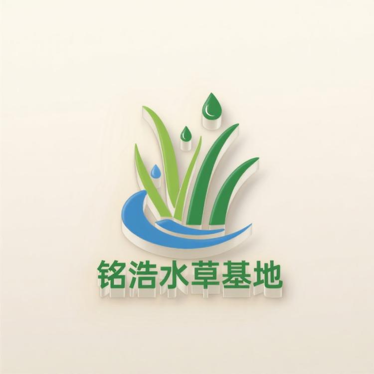 铭浩水草基地