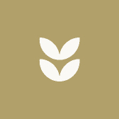 AuroraUnion极光联合