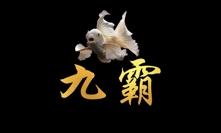 九霸