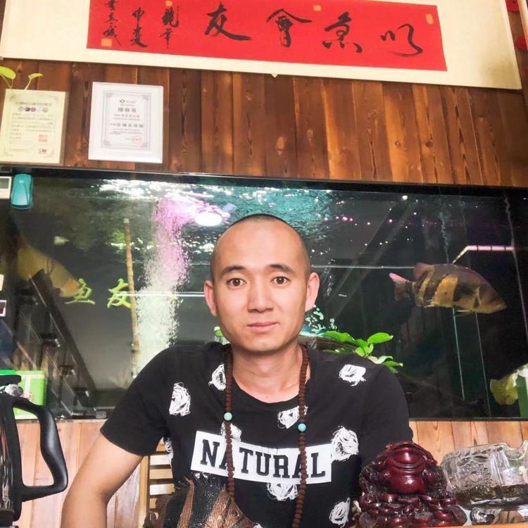 回民区鱼友会水族店的小店个体店