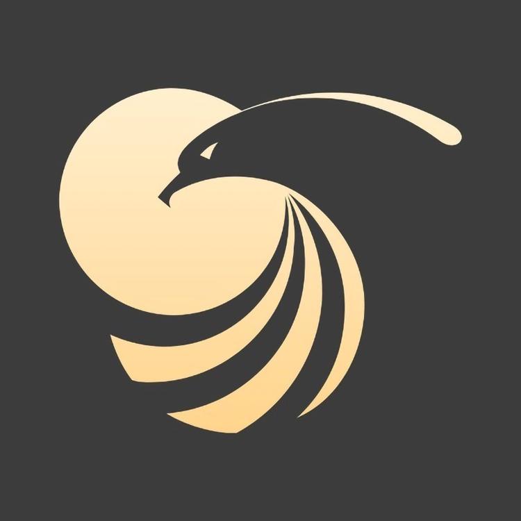 金鹰金选