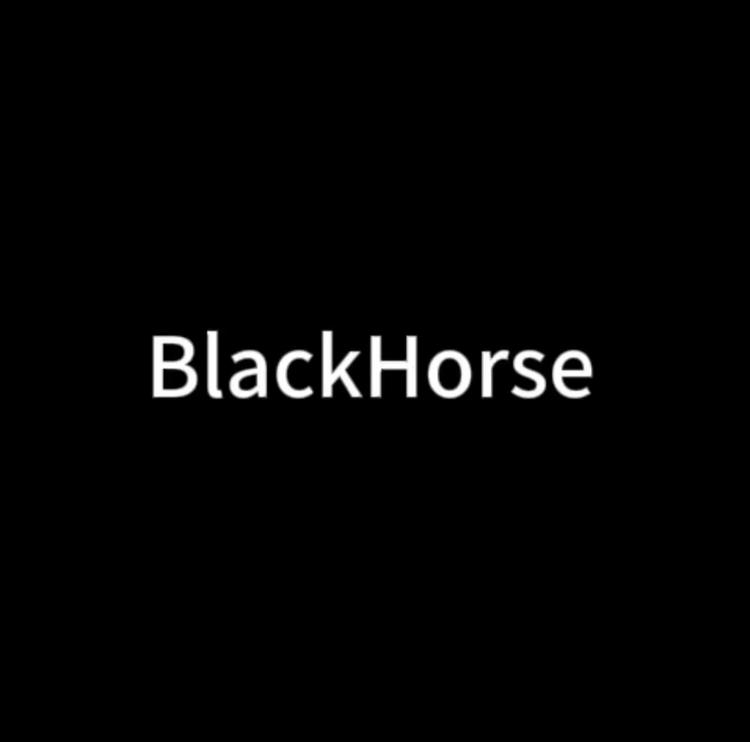 BlackHorse户外