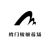 岭门桉树苗场