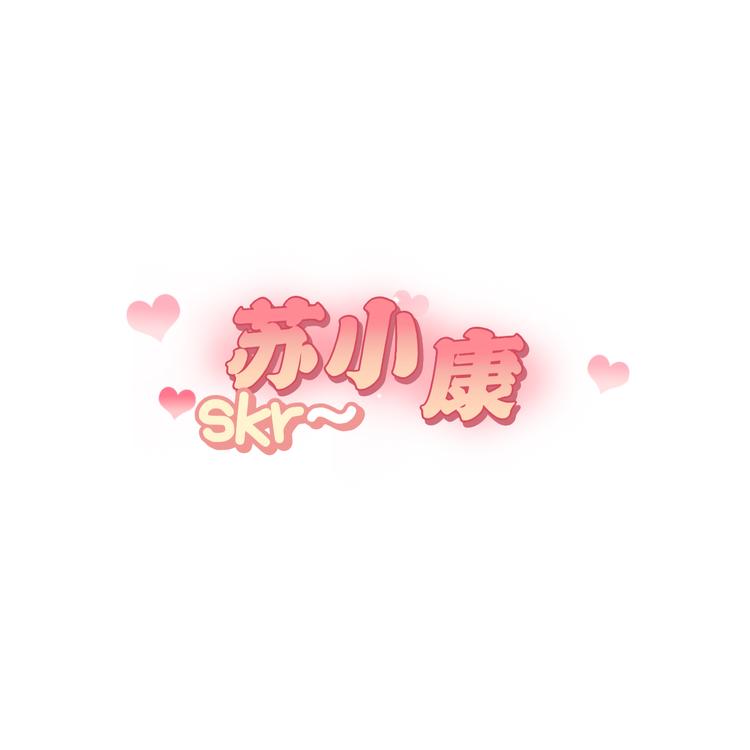 苏小康DIY创意摆件