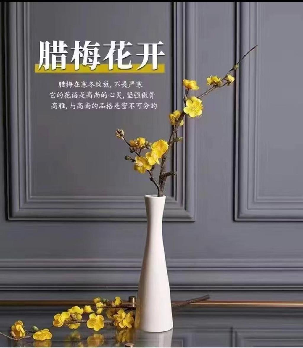 云曦的南天竹基地
