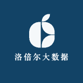 洛倍尔大数据
