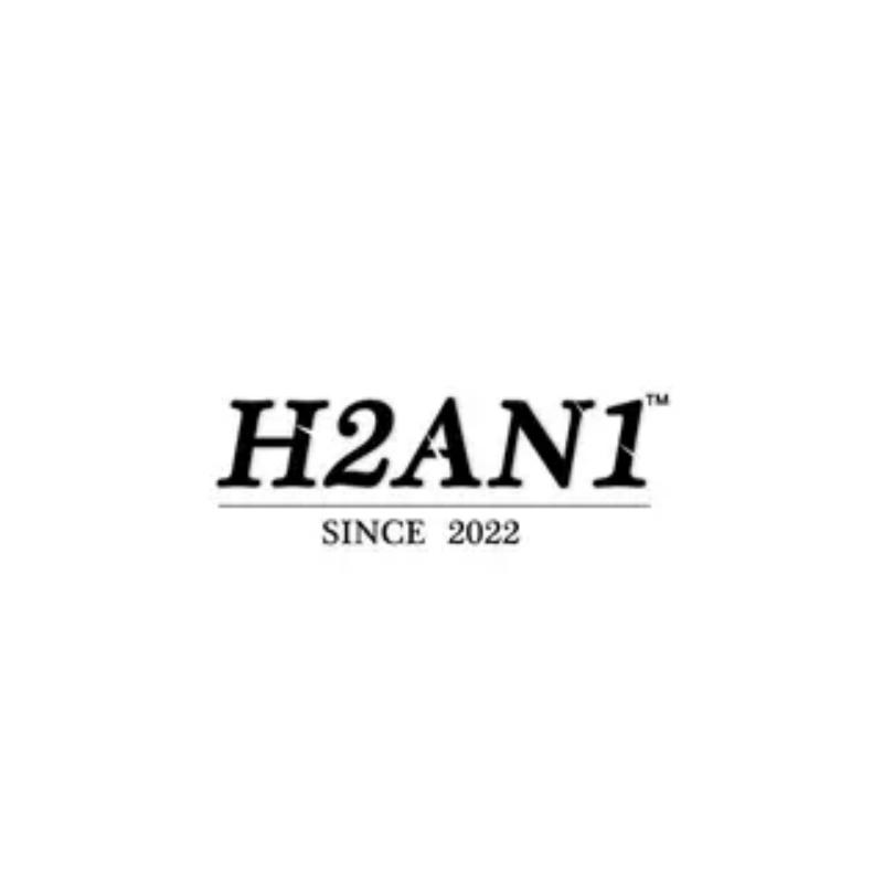 H2AN1 STUDIO女装店的店铺头像