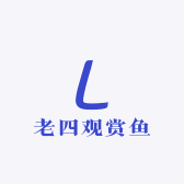 老四观赏鱼