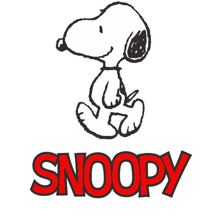 史努比Snoopy广州瑞宇电子商务有限公司箱包专卖店