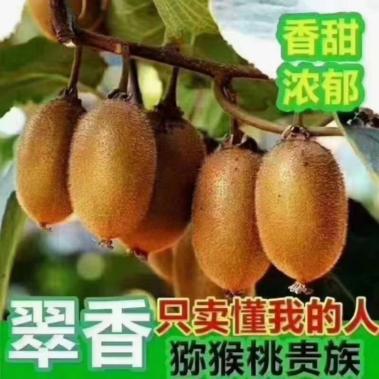 周至县帅利鲜生果行的小店个体店
