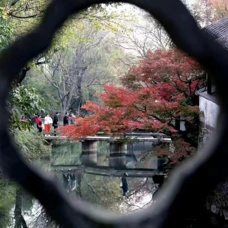 枫艺恋