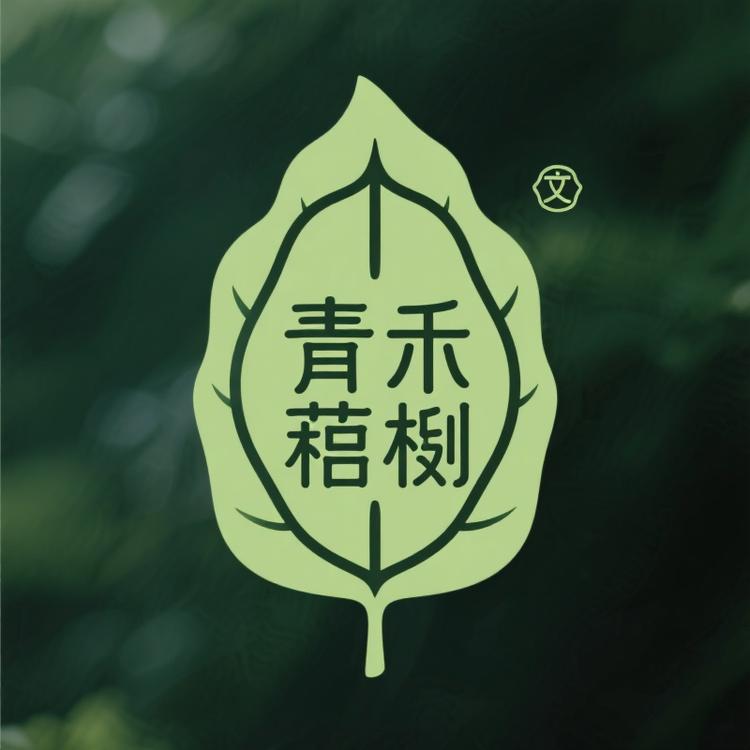 青禾菩提文玩