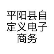 平阳县自定义电子商务商行的小店个体店