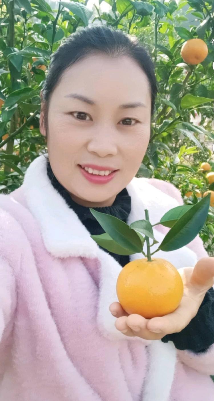 柑橘农场主