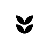 择梦纺
