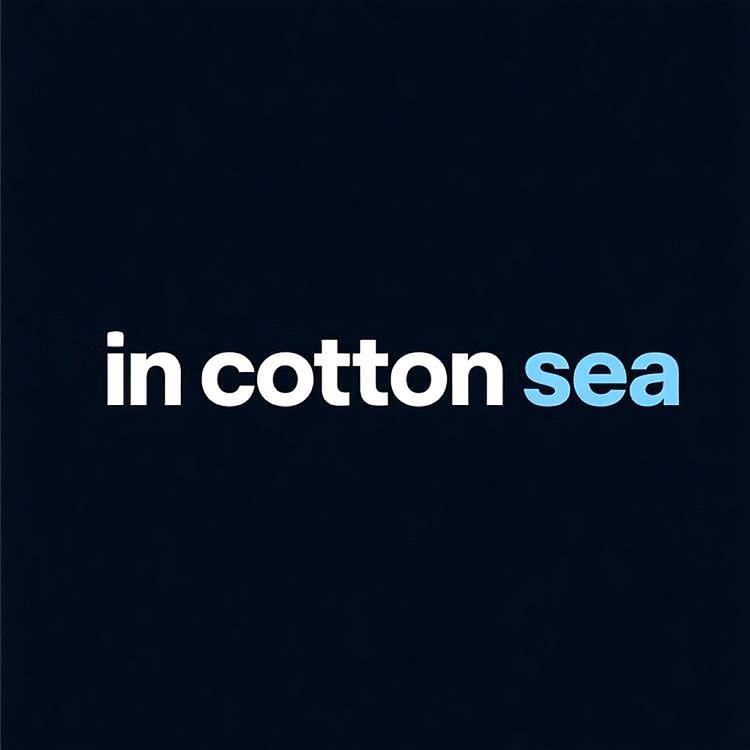 in cotton sea棉海里男装