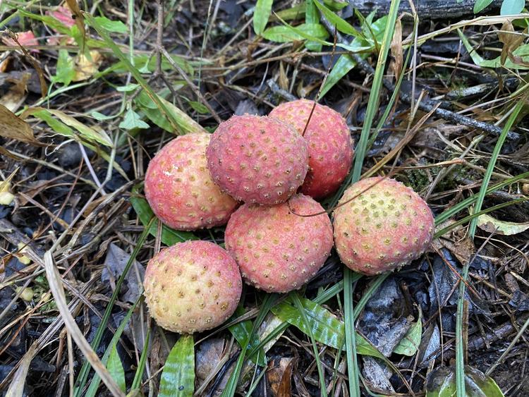 云南沃创无人机科技有限公司的小店