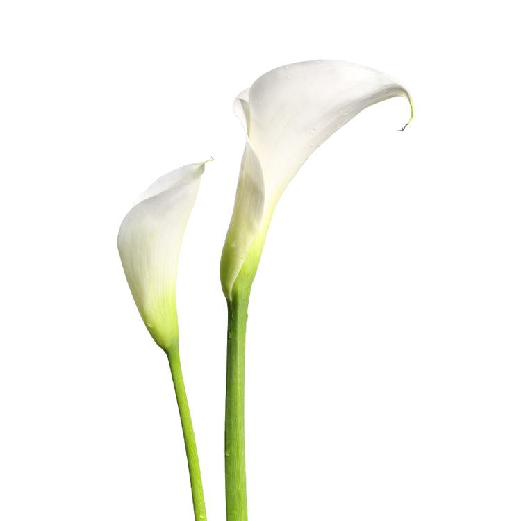 张北福奈特洗衣店个体店