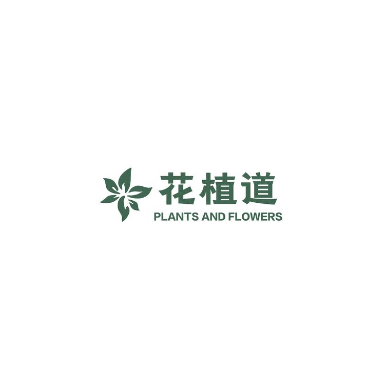 花植道轻奢生活植物