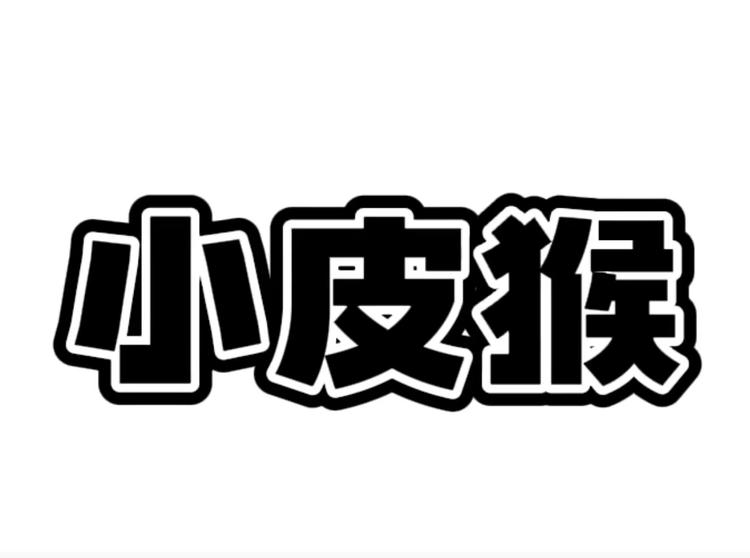 小皮猴专营店