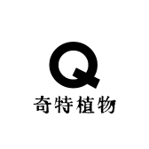 奇特植物旗覯店的店铺头像