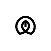 二丫籽玉1