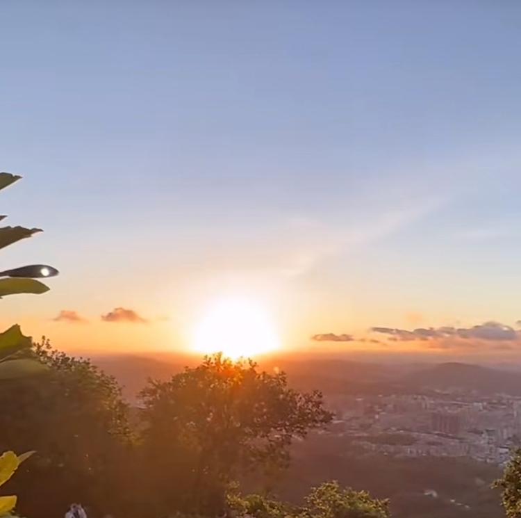 丸子宝宝集合店