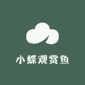 小蝶观赏鱼
