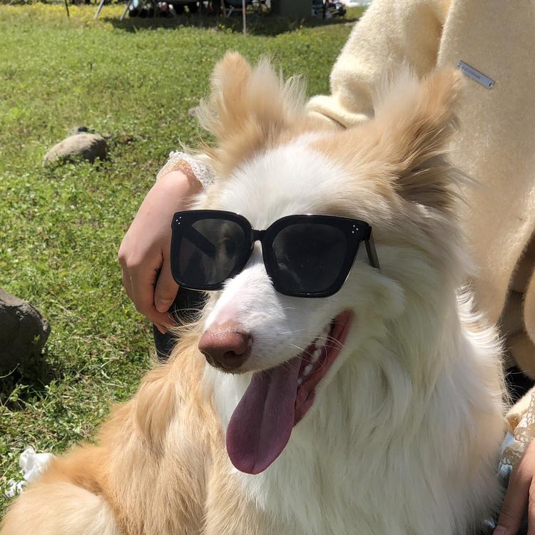 初屿白眼镜工作室