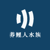 江湖养鲤人水族店铺