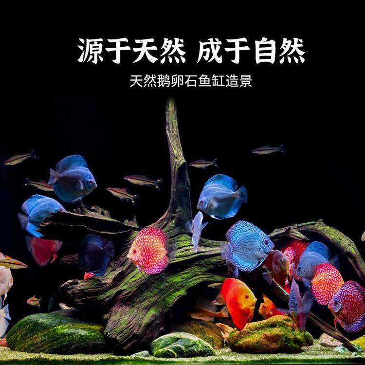 轩响水景