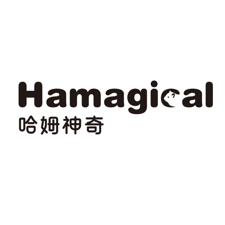 哈姆神奇金丝熊种草