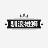 驯浪雄狮企业店