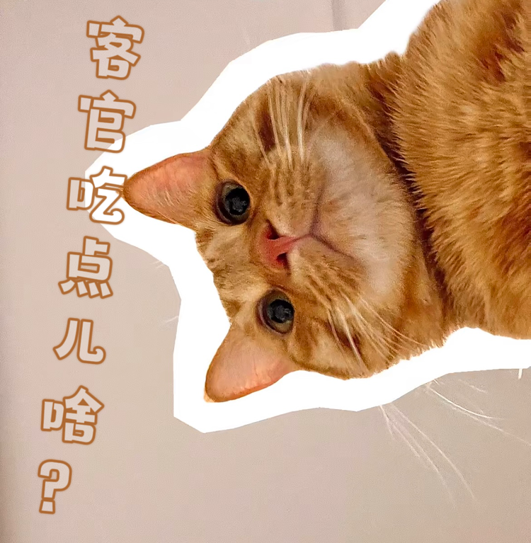 大脸猫零食屋
