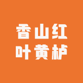 太行黄栌崖货