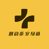 荆韵茶室绿植