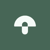 致乐萌童儿童内裤