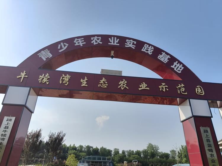 牛犊湾食品