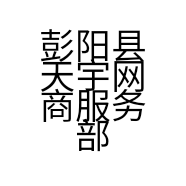 彭阳县天宇网商服务部的小店