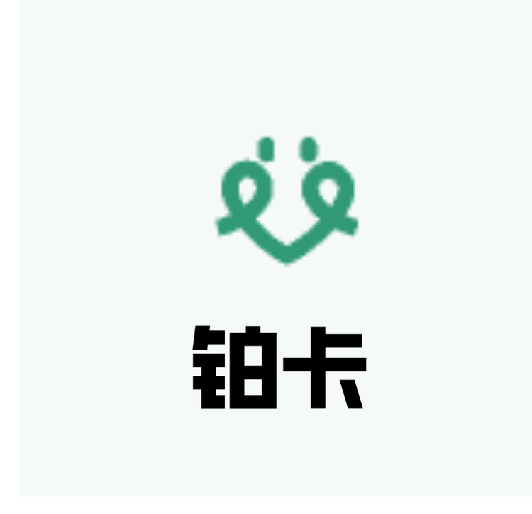 铂卡cara饰品分店
