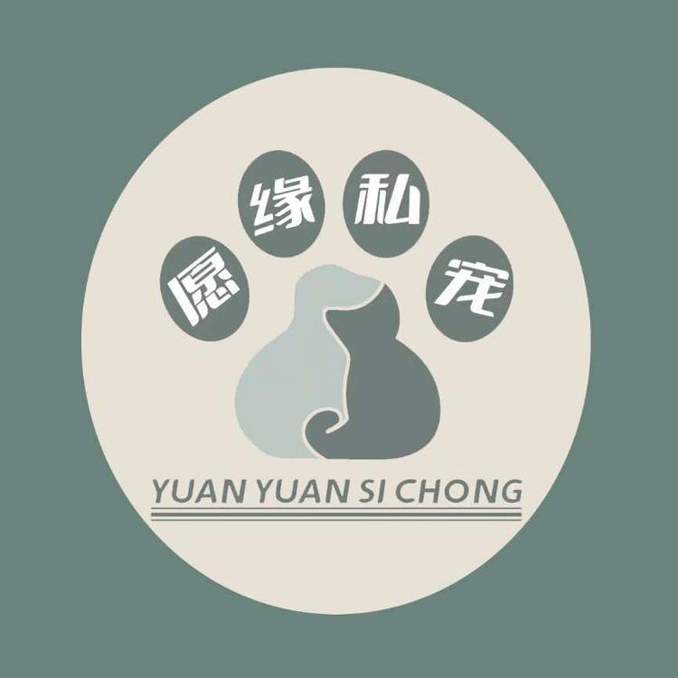 愿缘私宠猫咖猫馆
