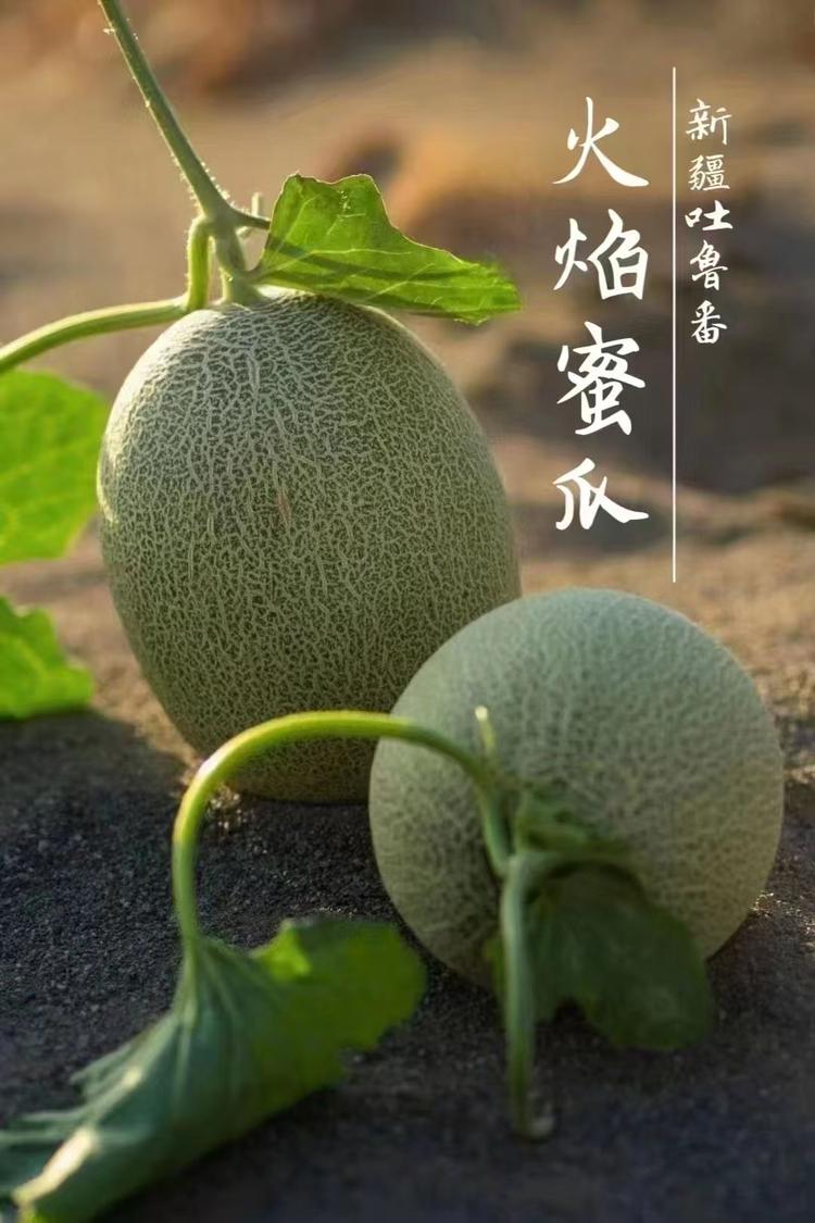 专注新疆好水果