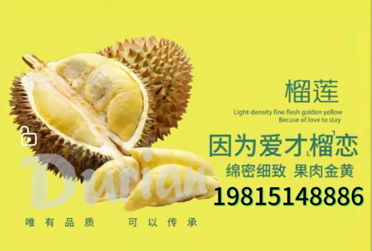 榴莲吴先生