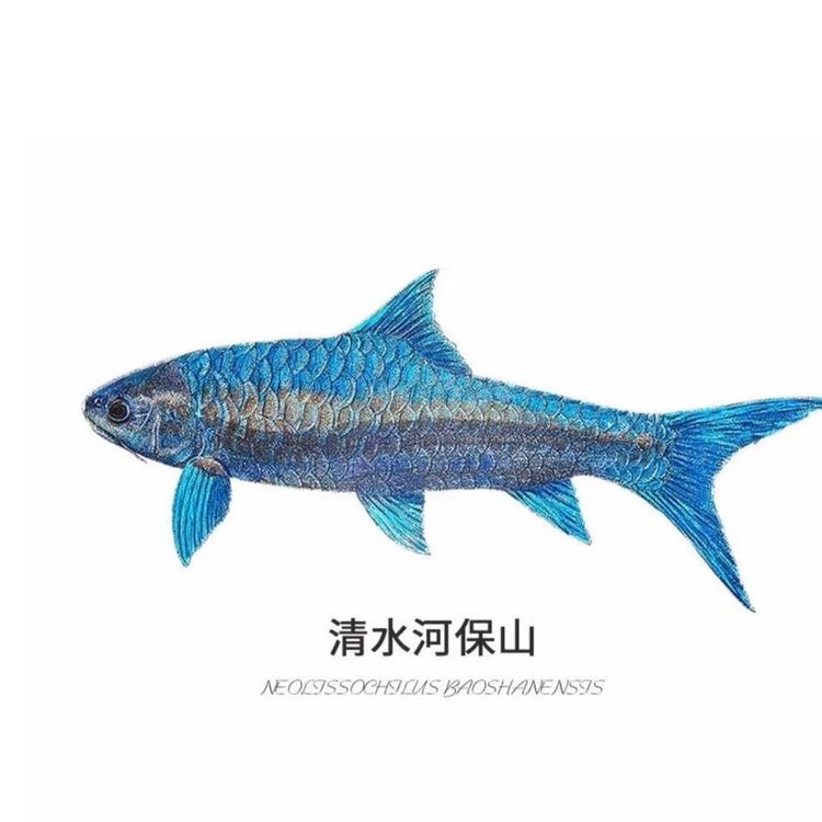 净川原生
