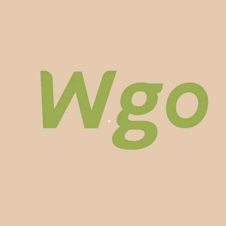 Wgo个体店